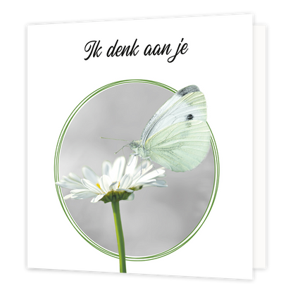 Ik denk aan je - Formaat: Standaard - Vorm: Vierkant - Condoleance kaart - Op deze wenskaart staat een witte bloem waar een witte vlinder op zit. Boven de illustratie staat de tekst: "Ik denk aan je". - Snelwenskaart