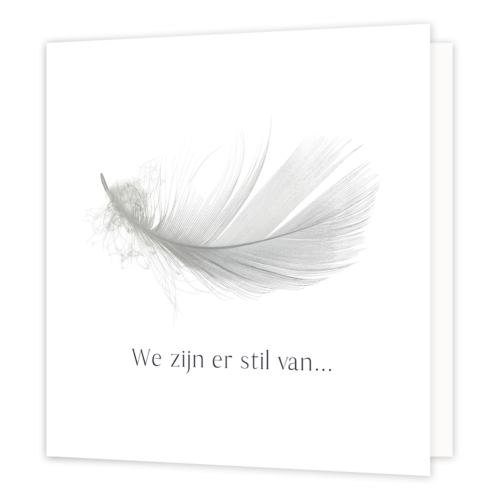 We zijn er stil van - Formaat: Normaal - Vorm: Vierkant - Condoleance kaart - Op deze wenskaart staat een grijze veer op een witte achtergrond met daaronder de tekst: "We zijn er stil van...". - Snelwenskaart
