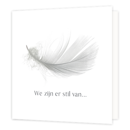 We zijn er stil van - Formaat: Normaal - Vorm: Vierkant - Condoleance kaart - Op deze wenskaart staat een grijze veer op een witte achtergrond met daaronder de tekst: "We zijn er stil van...". - Snelwenskaart