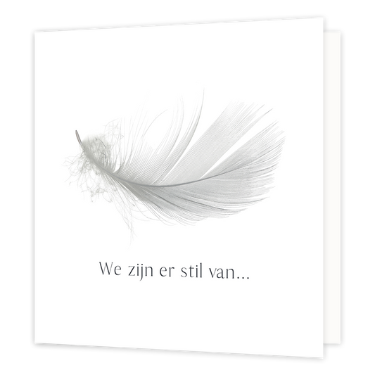 We zijn er stil van - Formaat: Normaal - Vorm: Vierkant - Condoleance kaart - Op deze wenskaart staat een grijze veer op een witte achtergrond met daaronder de tekst: "We zijn er stil van...". - Snelwenskaart