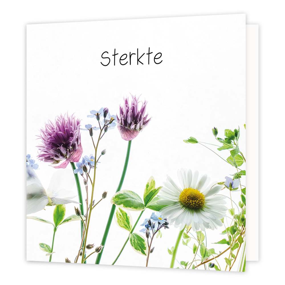 Sterkte - Formaat: Normaal - Vorm: Vierkant - Condoleance kaart - Op deze wenskaart zijn diverse bloemen te zien in de kleuren wit, paars, en blauw, met groene bladeren. Boven de illustratie staat de tekst: "Sterkte". - Snelwenskaart