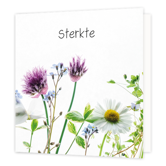 Sterkte - Formaat: Normaal - Vorm: Vierkant - Condoleance kaart - Op deze wenskaart zijn diverse bloemen te zien in de kleuren wit, paars, en blauw, met groene bladeren. Boven de illustratie staat de tekst: "Sterkte". - Snelwenskaart