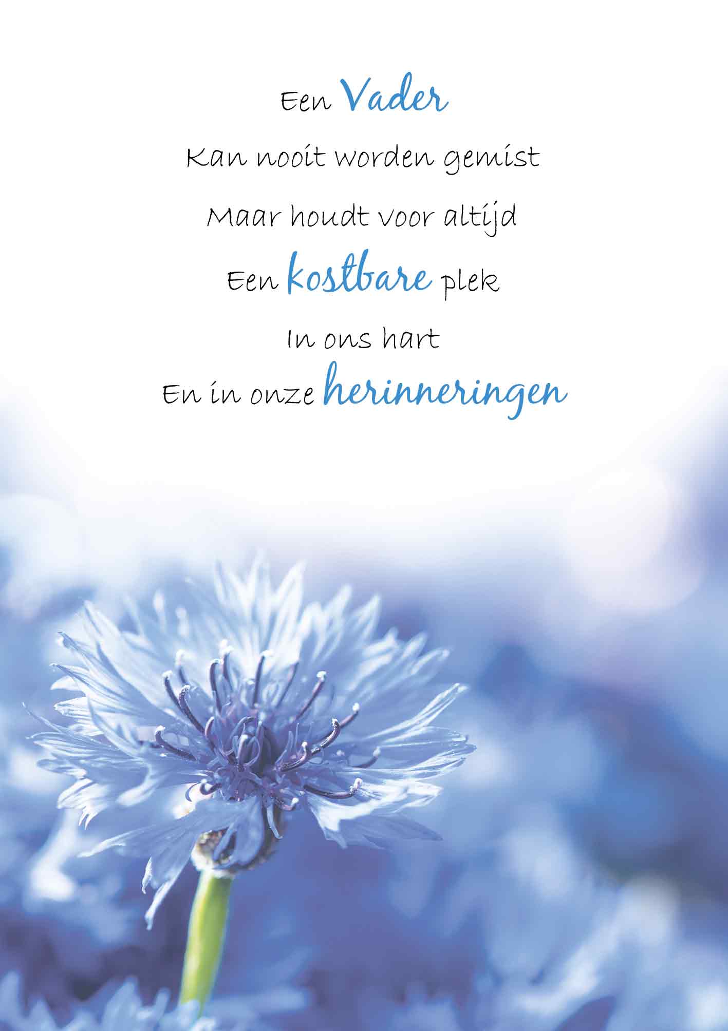 Een vader kan nooit worden gemist