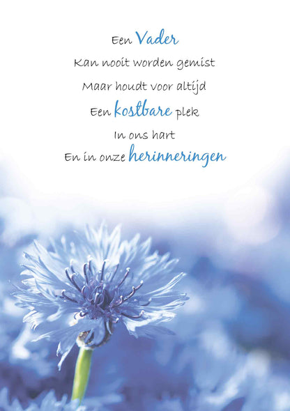 Een vader kan nooit worden gemist