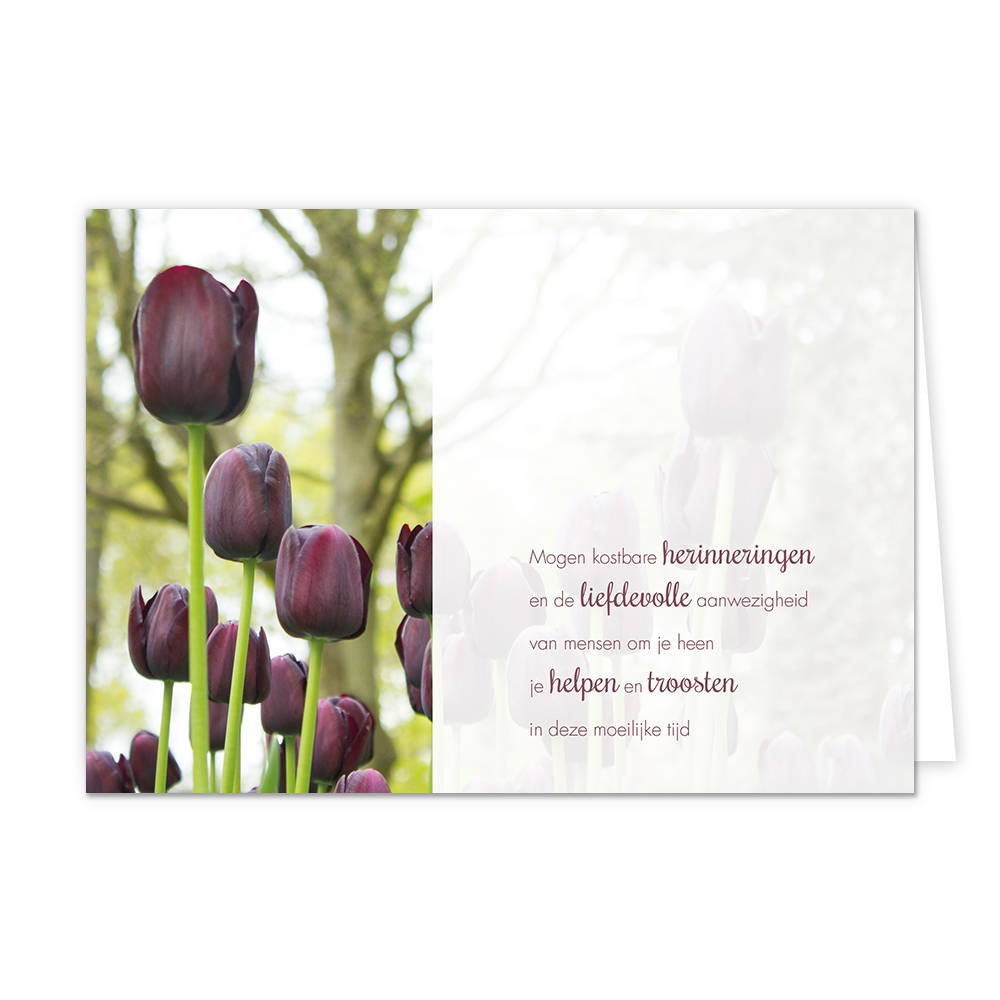 Mogen kostbare herinneringen - Formaat: Normaal - Vorm: Liggend - Condoleance kaart - Op deze wenskaart staan paarse tulpen met rechts de tekst: "Mogen kostbare herinneringen en de liefdevolle aanwezigheid van mensen om je heen je helpen en troosten in deze moeilijke tijd". - Snelwenskaart