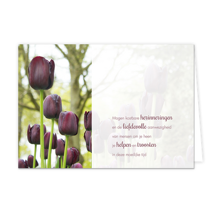 Mogen kostbare herinneringen - Formaat: Normaal - Vorm: Liggend - Condoleance kaart - Op deze wenskaart staan paarse tulpen met rechts de tekst: "Mogen kostbare herinneringen en de liefdevolle aanwezigheid van mensen om je heen je helpen en troosten in deze moeilijke tijd". - Snelwenskaart