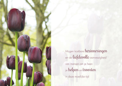 Mogen kostbare herinneringen