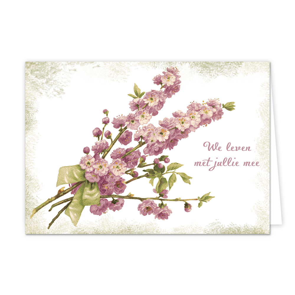 We leven met jullie mee - Formaat: Standaard - Vorm: Liggend - Condoleance kaart - Op deze wenskaart staan bloemen in de kleuren paars en beige. Rechts naast de bloemen staat de tekst: "We leven met jullie mee". - Snelwenskaart