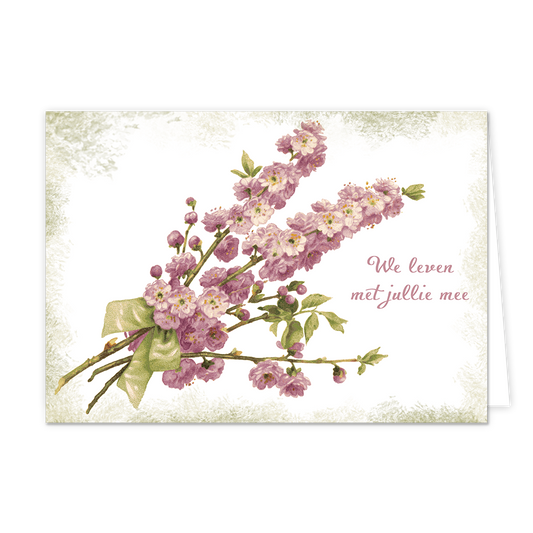 We leven met jullie mee - Formaat: Normaal - Vorm: Liggend - Condoleance kaart - Op deze wenskaart staan bloemen in de kleuren paars en beige. Rechts naast de bloemen staat de tekst: "We leven met jullie mee". - Snelwenskaart