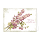 We leven met jullie mee - Formaat: Standaard - Vorm: Liggend - Condoleance kaart - Op deze wenskaart staan bloemen in de kleuren paars en beige. Rechts naast de bloemen staat de tekst: "We leven met jullie mee". - Snelwenskaart