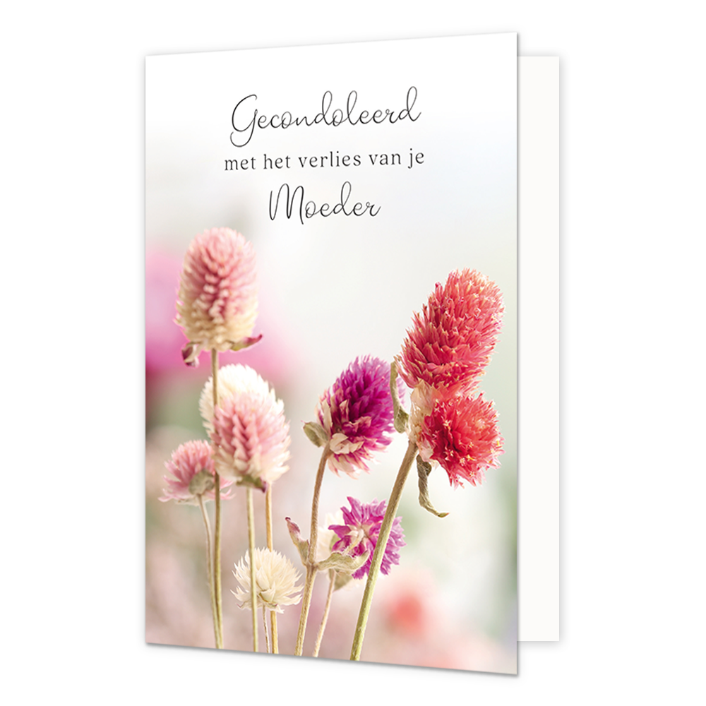 Veel sterkte - Formaat: Standaard - Vorm: Staand - Condoleance kaart - Op deze wenskaart staan bloemen in de kluren paars, rood en roze. Onder de illustratie staat de tekst: "Veel sterkte met het verlies van je moeder". - Snelwenskaart