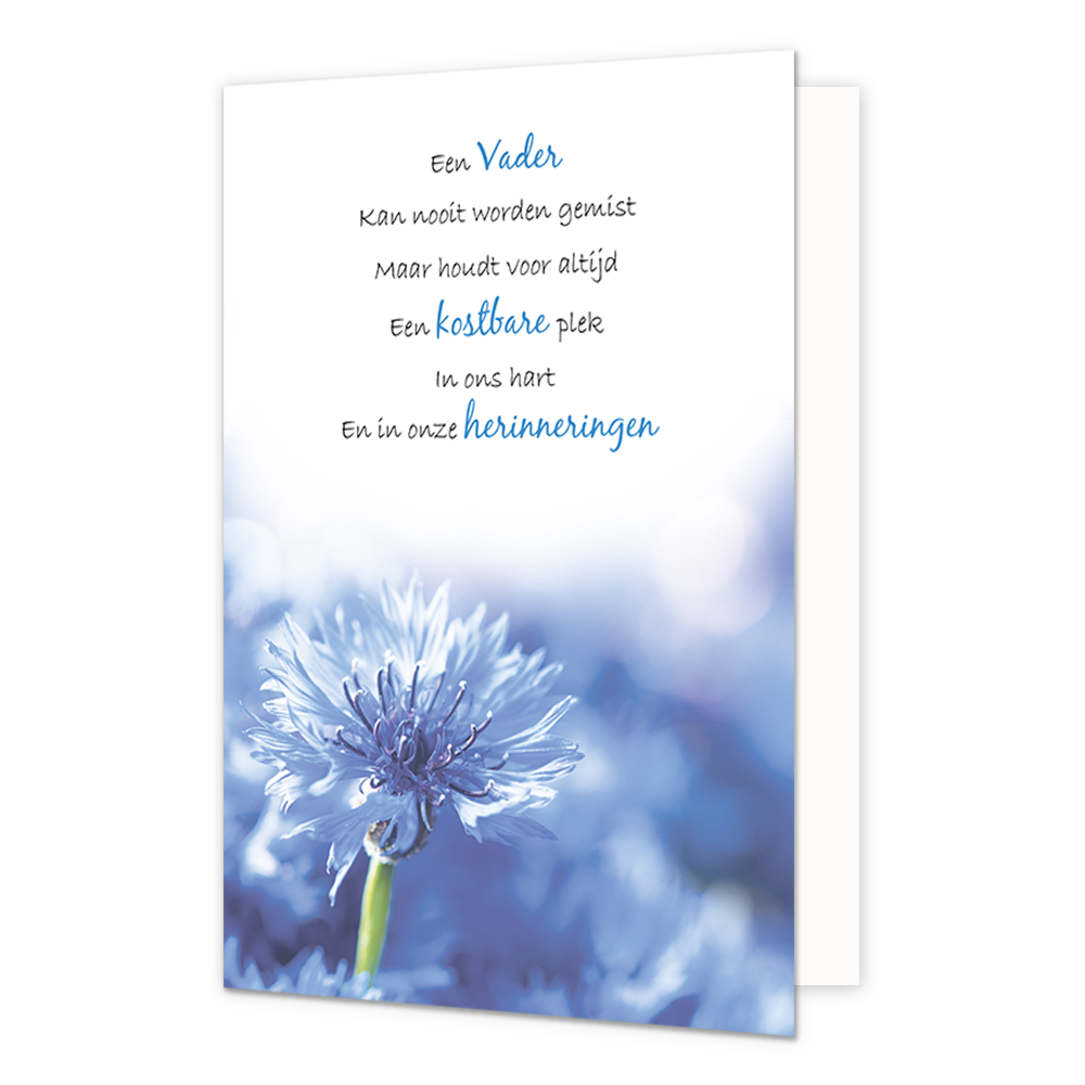 Een vader kan nooit worden gemist