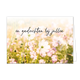 In gedachte bij jullie - Formaat: Standaard - Vorm: Liggend - Condoleance kaart - Op deze wenskaart staat een bloemenveld met witte en roze bloemen. In het midden staat de tekst: "In gedachten bij jullie". - Snelwenskaart