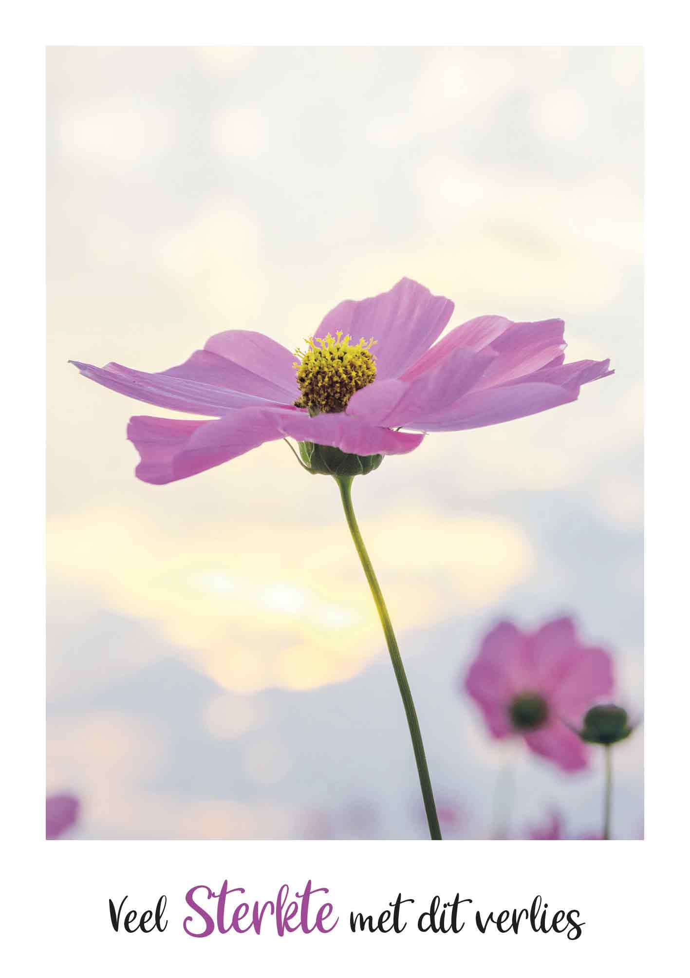 Veel sterkte met dit verlies