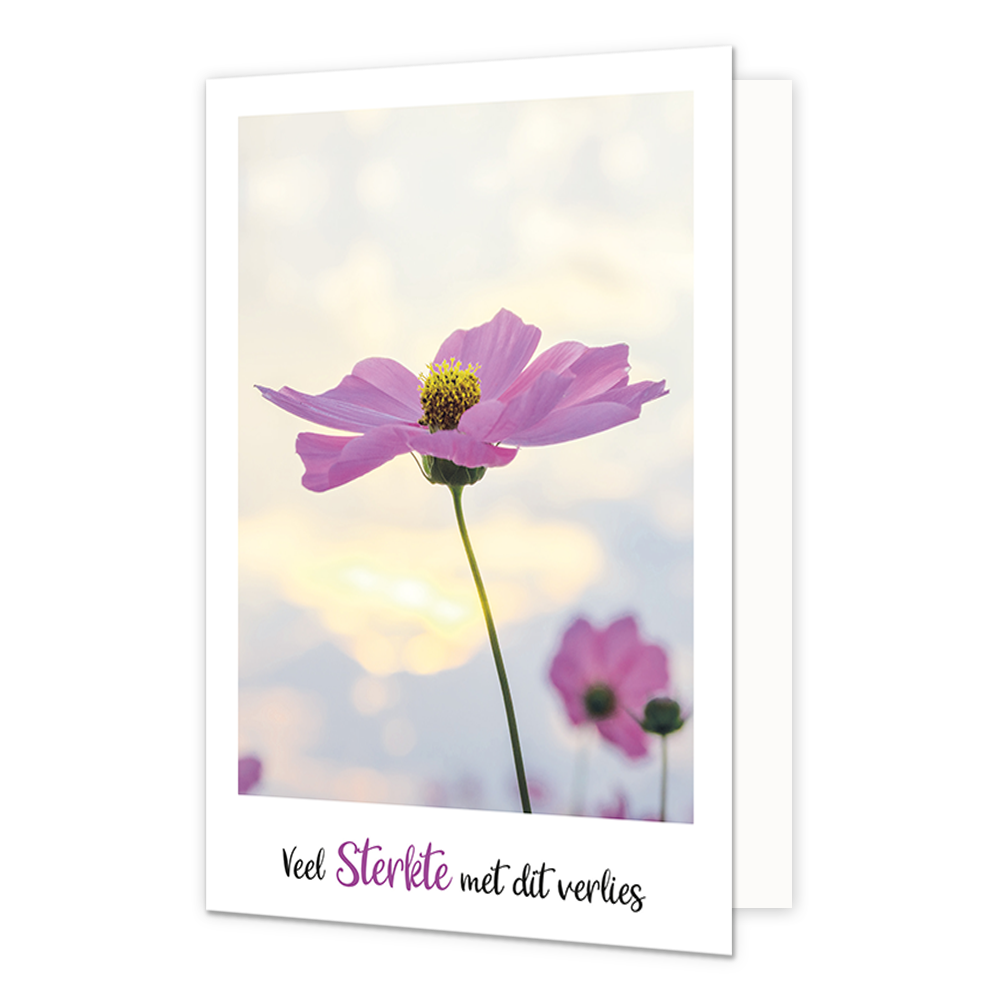 Veel sterkte met dit verlies