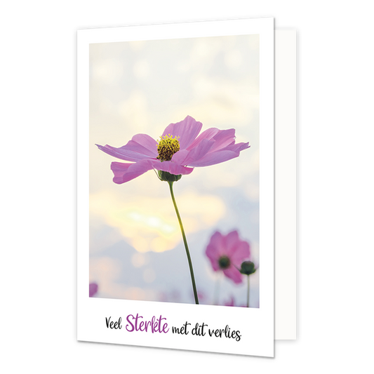 Veel sterkte met dit verlies