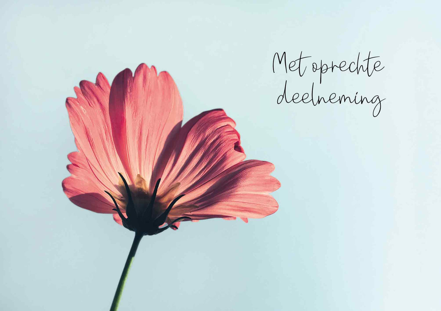 Met oprechte deelneming