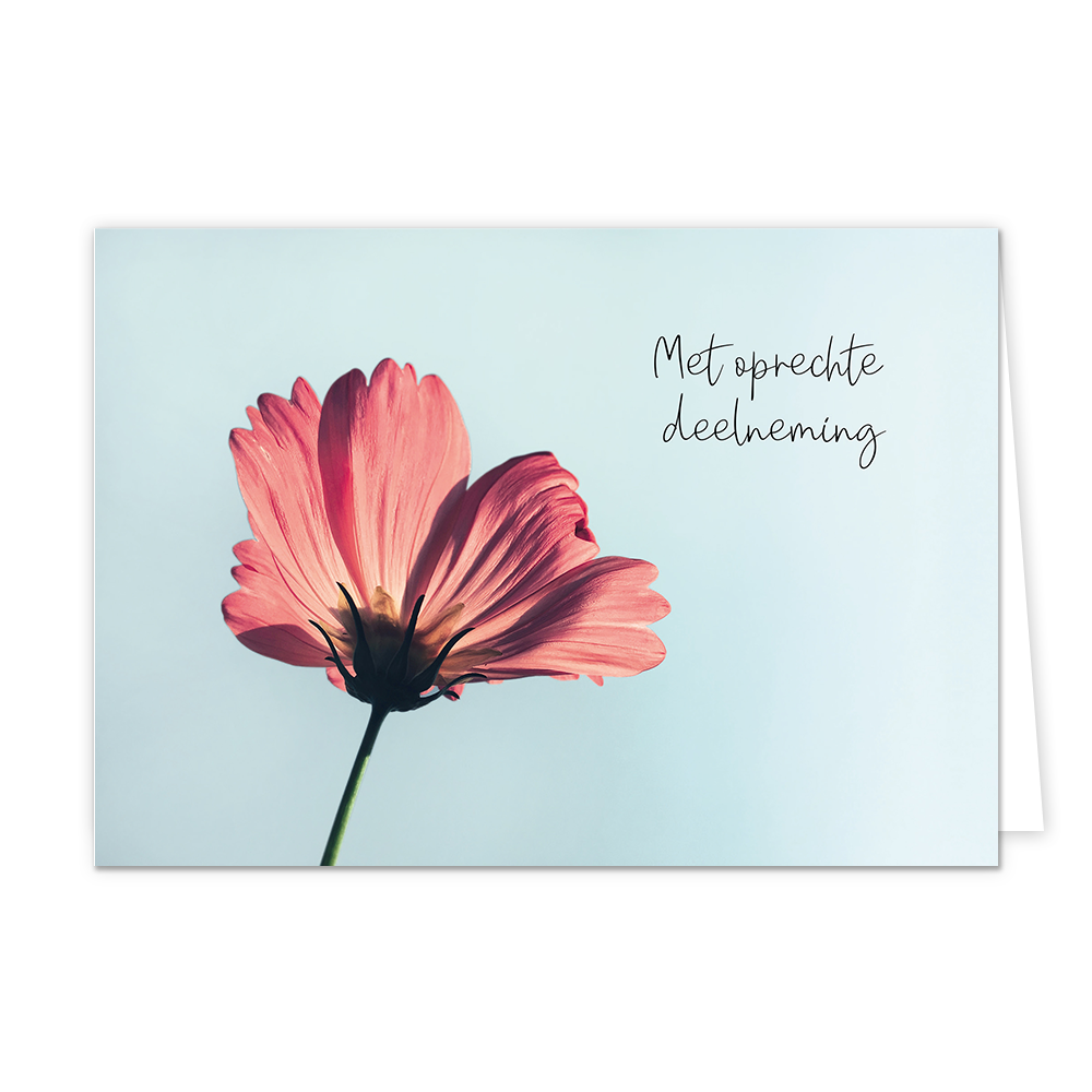 Met oprechte deelneming