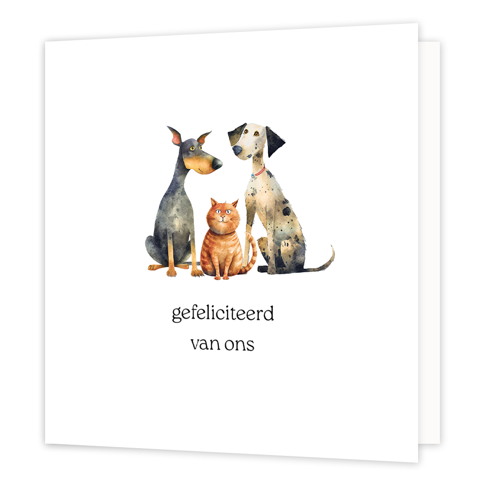 Gefeliciteerd van ons - Formaat: Standaard - Vorm: Vierkant - Felicitatiekaart - Op deze wenskaart staan twee honden en een kat op een witte achtergrond met daaronder de tekst: "Gefeliciteerd van ons". - Snelwenskaart