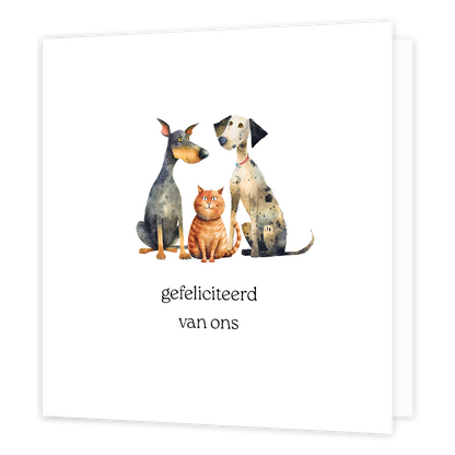 Gefeliciteerd van ons - Formaat: Standaard - Vorm: Vierkant - Felicitatiekaart - Op deze wenskaart staan twee honden en een kat op een witte achtergrond met daaronder de tekst: "Gefeliciteerd van ons". - Snelwenskaart
