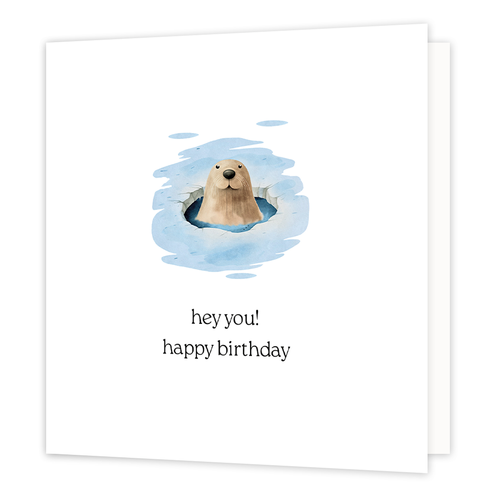Hey you! Happy birthday - Formaat: Normaal - Vorm: Vierkant - Verjaardagskaart - Op deze wenskaart staat een zeeleeuw die uit een gat ijs omhoog kijkt. Daaronder staat de tekst: "Hey you! Happy birthday". - Snelwenskaart