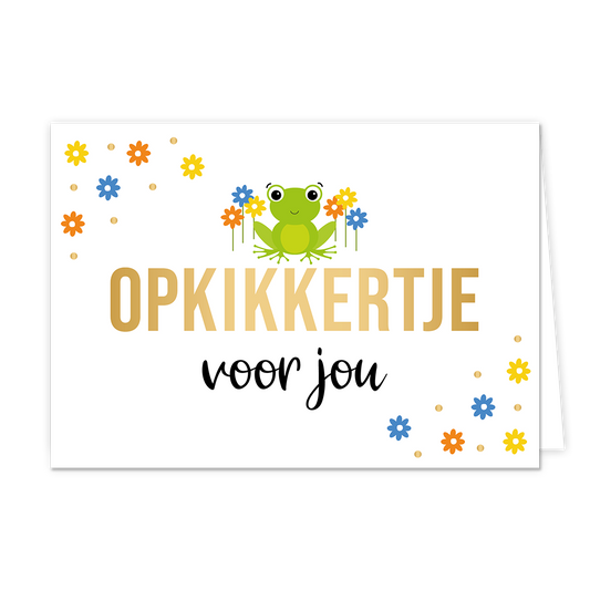 Opkikkertje voor jou - Formaat: Normaal - Vorm: Liggend - Opkikker kaart - Op deze wenskaart staan bloemen in de kleuren oranje, blauw en geel met in het midden een groene kikker. In het midden staat de tekst: "Opkikkertje voor jou". - Snelwenskaart