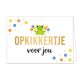 Opkikkertje voor jou - Formaat: Standaard - Vorm: Liggend - Opkikker kaart - Op deze wenskaart staan bloemen in de kleuren oranje, blauw en geel met in het midden een groene kikker. In het midden staat de tekst: "Opkikkertje voor jou". - Snelwenskaart