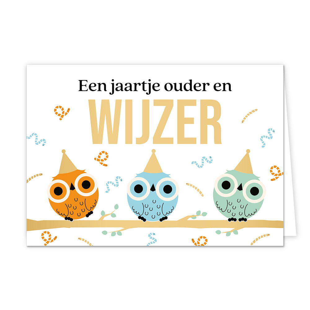 Een jaartje ouder en wijzer - Formaat: Standaard - Vorm: Liggend - Verjaardagskaart - Op deze wenskaart staat de zwarte en goudkleurige tekst "Een jaartje ouder en WIJZER" afgebeeld tegen een witte achtergrond. Daaronder zitten drie uilen in de kleuren oranje, blauw en groen op een boomtak, elk voorzien van een feestmuts op hun hoofd. Rondom de uilen zijn gekleurde serpentines en confetti verspreid. - Snelwenskaart