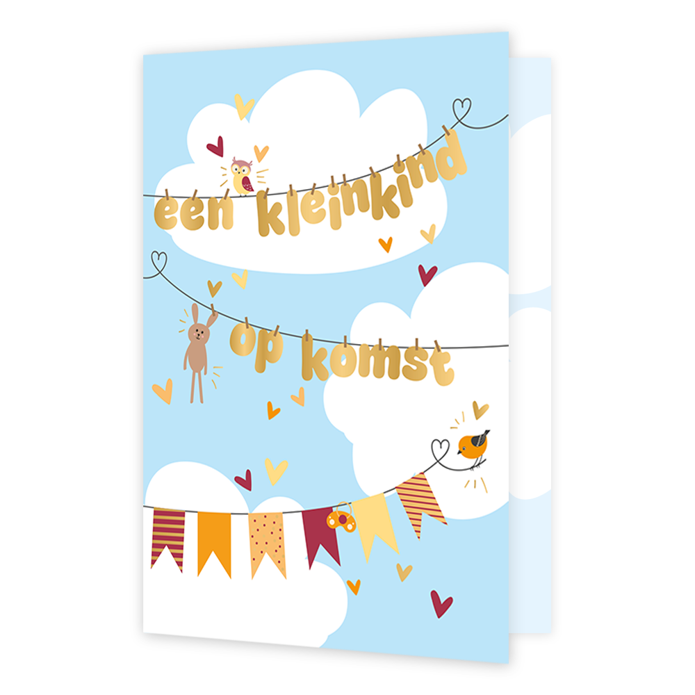 Op deze wenskaart zie je een waslijn in de lucht. Aan de waslijn hangt in gouden letters de tekst 'een kleinkind op komst'. Onderaan hangen vlaggen.