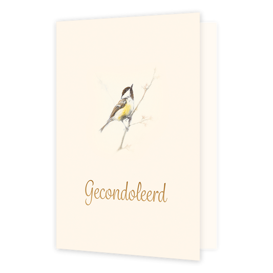 Gecondoleerd - Formaat: Normaal - Vorm: Staand - Condoleance kaart - Op deze wenskaart staat een pimpelmeesje met daaronder de gouden tekst 'gecondoleerd'. - Snelwenskaart