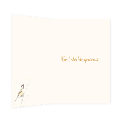 Gecondoleerd