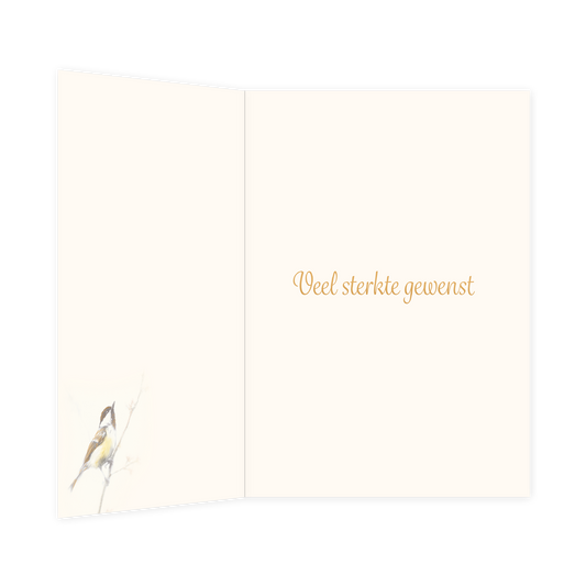 Gecondoleerd