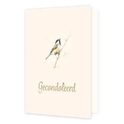 Op deze wenskaart staat een pimpelmeesje met daaronder de gouden tekst 'gecondoleerd'.