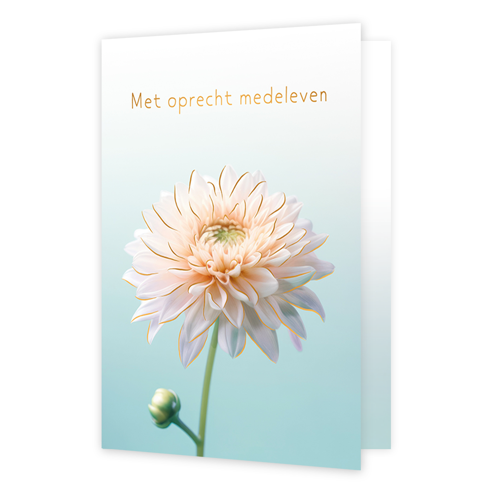 Met oprechte medeleven - Formaat: Standaard - Vorm: Staand - Condoleance kaart - Op deze wenskaart is een bloem in de kleur wit te zien met gouden lijnen, op een achtergrond dat van de kleur mintgroen naar wit verloopt. Boven de bloem staat de tekst: "met oprechte medeleven". - Snelwenskaart