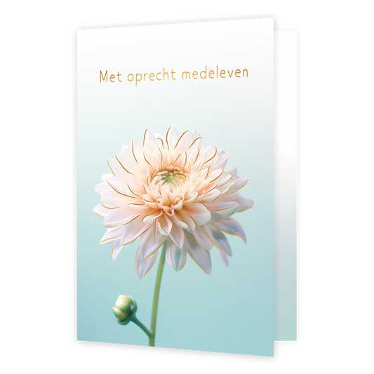 Met oprechte medeleven - Formaat: Normaal - Vorm: Staand - Condoleance kaart - Op deze wenskaart is een bloem in de kleur wit te zien met gouden lijnen, op een achtergrond dat van de kleur mintgroen naar wit verloopt. Boven de bloem staat de tekst: "met oprechte medeleven". - Snelwenskaart