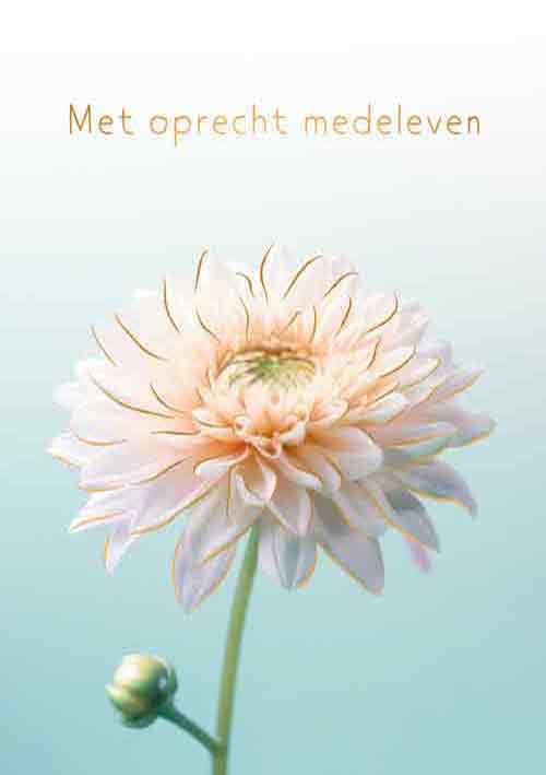 Met oprechte medeleven