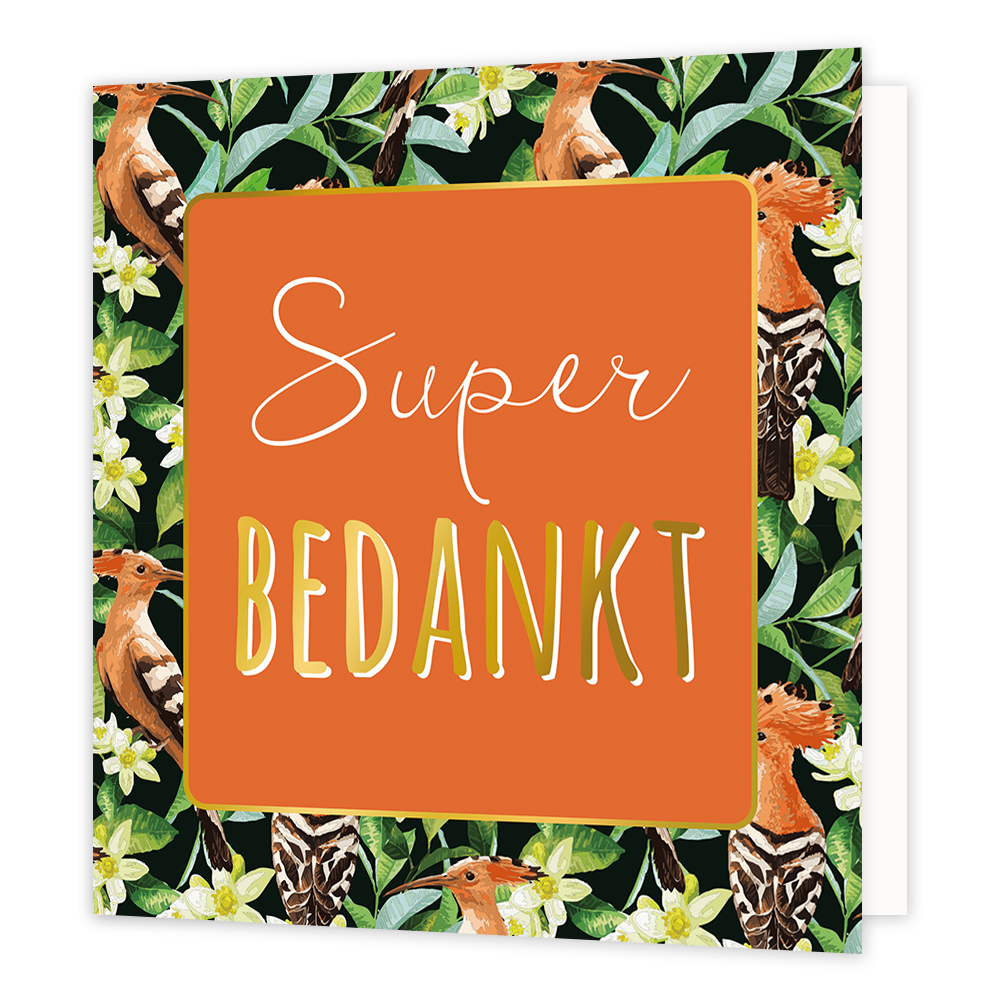 Super bedankt - Formaat: Normaal - Vorm: Vierkant - Bedankkaart - Op deze wenskaart staan groene balderen en bruine vogels met in het midden een oranje vierkant met gouden omlijning en de tekst: "Super bedankt". - Snelwenskaart