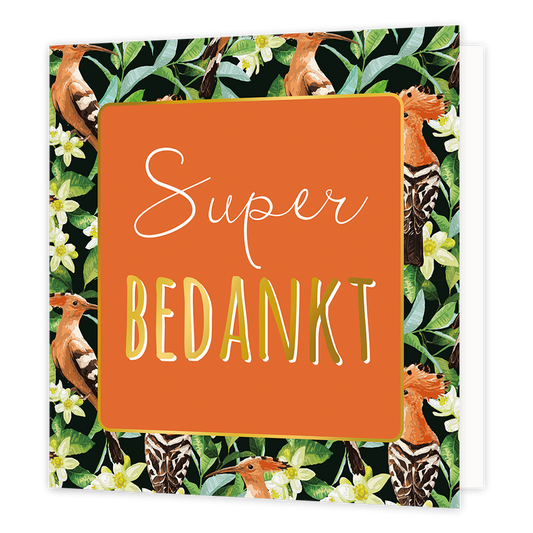 Super bedankt - Formaat: Normaal - Vorm: Vierkant - Bedankkaart - Op deze wenskaart staan groene balderen en bruine vogels met in het midden een oranje vierkant met gouden omlijning en de tekst: "Super bedankt". - Snelwenskaart