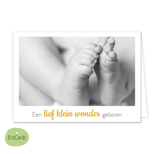 Een lief klein wonder geboren - Afmeting: {"value":13.4,"unit":"CENTIMETERS"} x {"value":9.7,"unit":"CENTIMETERS"} - Formaat: Klein - Vorm: Liggend - Geboortekaart - Op deze wenskaart staan kindervoetjes met daaronder de tekst: "Een lief klein wonder geboren". - Snelwenskaart