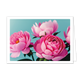 Roze bloemen - Formaat: Klein - Vorm: Liggend - Blanco kaart - Op deze wenskaart staan roze pioenen op een blauwe achtergrond. - Snelwenskaart
