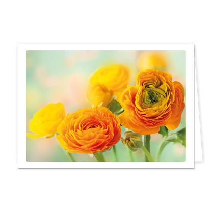 Bloemen - Formaat: Klein - Vorm: Liggend - Blanco kaart - Op deze wenskaart staat een afbeelding van een bosje ranonkels in warme tinten oranje en geel. De bloemen vullen het grootste deel van het beeld, waarbij de middelste bloem scherp in beeld is en de achterste bloemen vervagen in een zachte, dromerige achtergrond van lichtgroene en pastelkleurige tinten. De weergave heeft een witte rand rondom, wat zorgt voor een rustige en natuurlijke uitstraling. - Snelwenskaart
