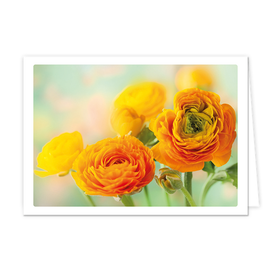 Op deze wenskaart staat een afbeelding van een bosje ranonkels in warme tinten oranje en geel. De bloemen vullen het grootste deel van het beeld, waarbij de middelste bloem scherp in beeld is en de achterste bloemen vervagen in een zachte, dromerige achtergrond van lichtgroene en pastelkleurige tinten. De weergave heeft een witte rand rondom, wat zorgt voor een rustige en natuurlijke uitstraling.