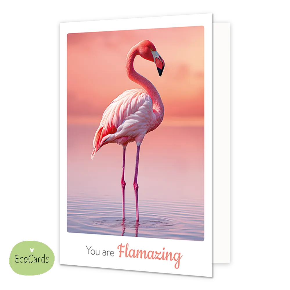 You are flamazing - Formaat: Klein - Vorm: Staand - Complimentenkaart - Op deze wenskaart staat een roze flamingo die in het water staat. Onder de illustratie staat de tekst: "You are flamazing". - Snelwenskaart