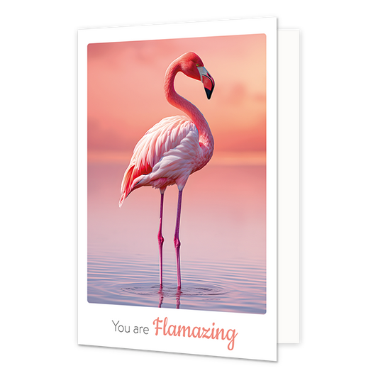 You are flamazing - Formaat: Klein - Vorm: Staand - Complimentenkaart - Op deze wenskaart staat een roze flamingo die in het water staat. Onder de illustratie staat de tekst: "You are flamazing". - Snelwenskaart