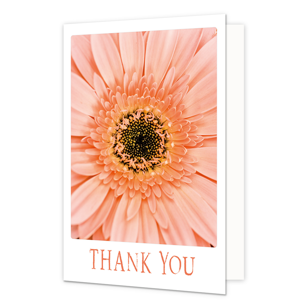 Thank you - Formaat: Klein - Vorm: Staand - Bedankkaart - Op deze wenskaart staat een grote oranje bloem met daaronder de tekst: "Thank you". - Snelwenskaart