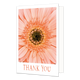 Thank you - Formaat: Klein - Vorm: Staand - Bedankkaart - Op deze wenskaart staat een grote oranje bloem met daaronder de tekst: "Thank you". - Snelwenskaart