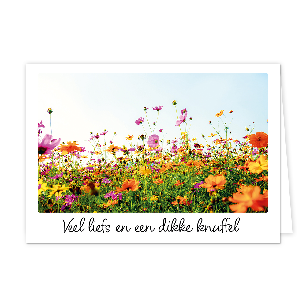 Veel liefs en een dikke knuffel - Formaat: Klein - Vorm: Liggend - Vriendschapskaart - Op deze wenskaart staat een bloemenveld met de kleuren paars, oranje en groen. Onder de illustratie staat de tekst: "Veel liefs en een dikke knuffel". - Snelwenskaart