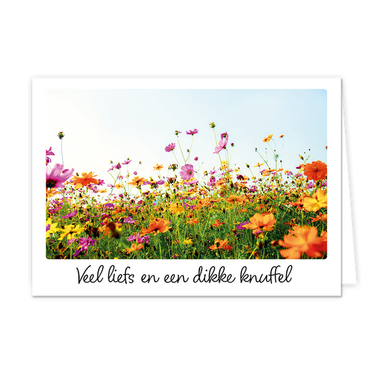 Veel liefs en een dikke knuffel - Formaat: Klein - Vorm: Liggend - Vriendschapskaart - Op deze wenskaart staat een bloemenveld met de kleuren paars, oranje en groen. Onder de illustratie staat de tekst: "Veel liefs en een dikke knuffel". - Snelwenskaart