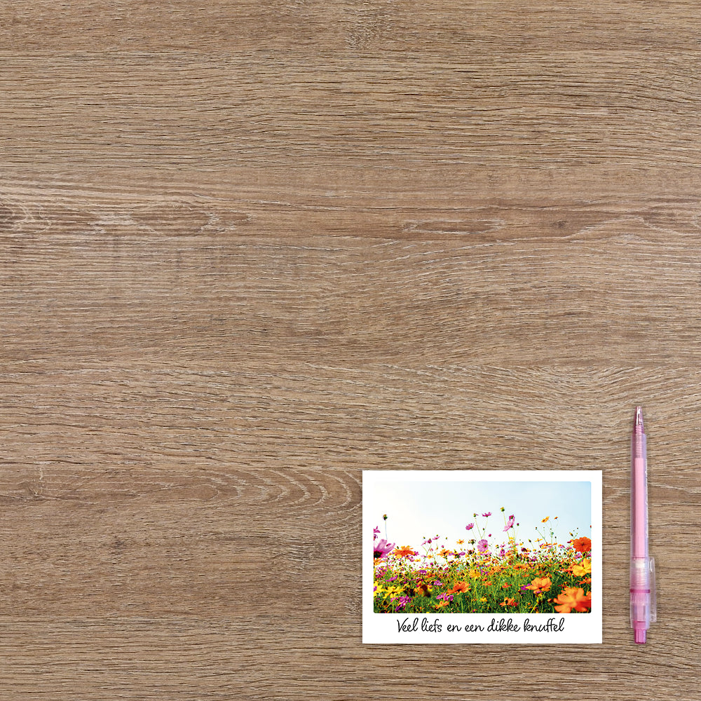 Veel liefs en een dikke knuffel