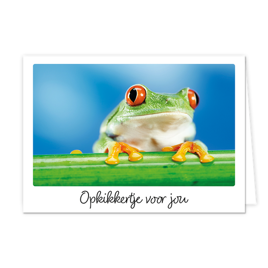 Opkikkertje voor jou - Formaat: Klein - Vorm: Liggend - Opkikker kaart - Op deze wenskaart staat een kikker met daaronder de tekst: "Opkikkertje voor jou". - Snelwenskaart
